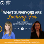 What Surveyors are looking for